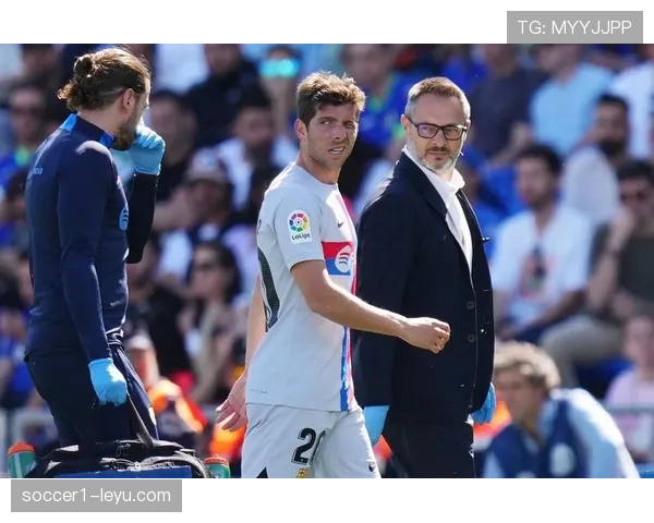 罗贝托进球集锦：重温绿茵场上的艺术巅峰，尽览精彩绝伦瞬间